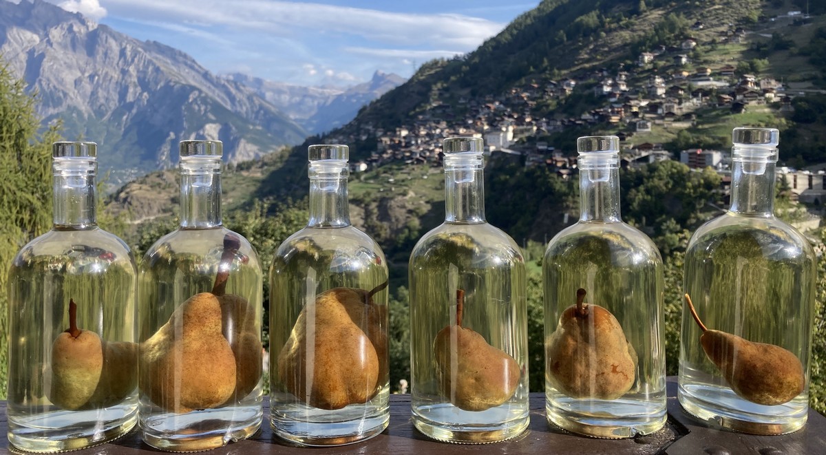 poire-en-bt